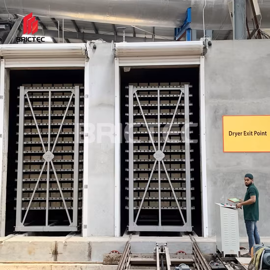 Brick Making Factory with Automatic Rack Drying System