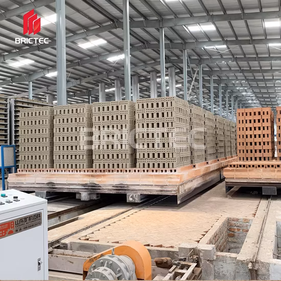 Brick Making Factory with Automatic Rack Drying System